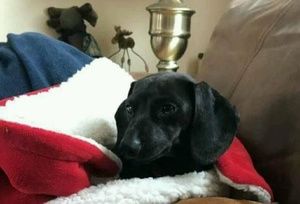 Meet your Posher, Kari